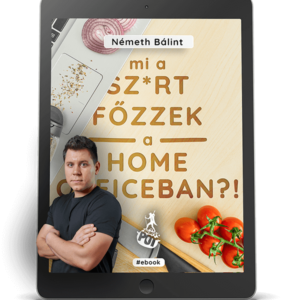 e-book for Smartphone (pdf) - 4990 Ft